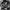 image with artdirection blur-up