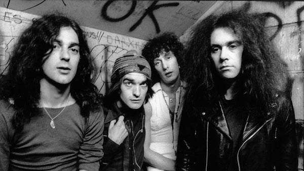 Pink Fairies Family