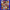 Pulsateing Dreams Complete Epic Recordings